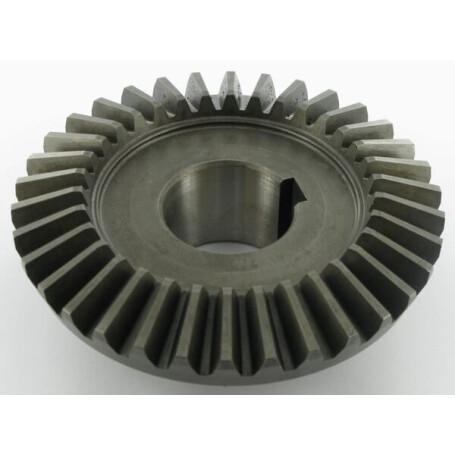 Pignon SITREX 100269
