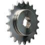 Pignon GASPARDO G22250007R