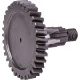Pignon UNIVERSEL 56202510N