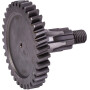 Pignon UNIVERSEL 56202410N