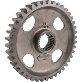 Pignon MASCHIO M36100206R