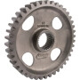Pignon MASCHIO M36100206R
