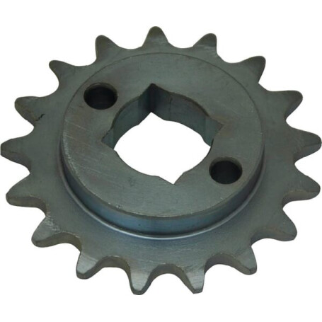 Pignon GASPARDO G22250044R