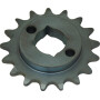 Pignon GASPARDO G22250044R