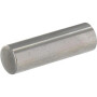Piston ANNOVI REVERBERI 800130