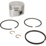 Piston BRIGGS ET STRATTON 499960