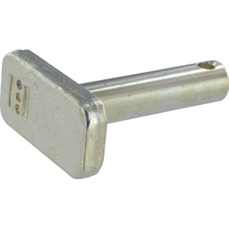 Pivot MASSEY FERGUSON 4302154M2