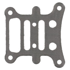 Plaque BRIGGS ET STRATTON 796473