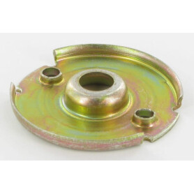 Plaque BRIGGS ET STRATTON 224321