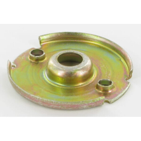 Plaque BRIGGS ET STRATTON 224321