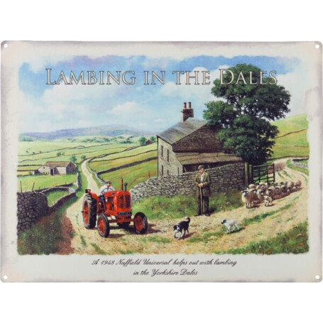 Plaque TRACTORFREAK TTF9135