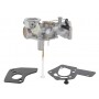 Carburateur Briggs et Stratton 498298 - 490533 - 492611 - 495426 - 495951 - 692784