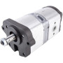 Pompe LANDINI 3652099M91