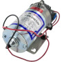 Pompe SHURFLO DIP8000543936