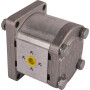 Pompe GOLDONI 02030140