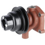 Pompe ZETOR 69010651