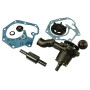 Pompe PERKINS 145017380