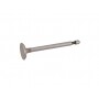 Soupape d'échappement BRIGGS ET STRATTON 262651 - 262651s - 590394
