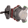 Pompe GOLDONI 0V15180019