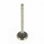 Ventil auspuffrohr 390419 - 260952 - Briggs et Stratton