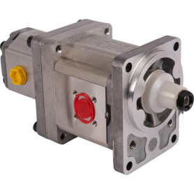 Pompe GOLDONI 02030330