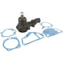 Pompe MASSEY FERGUSON 3641832M91