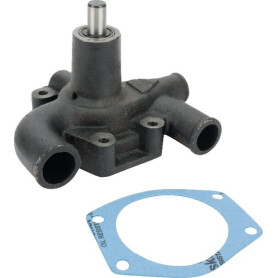 Pompe MASSEY FERGUSON 3641823M91