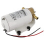 Pompe UNIVERSEL GEP8411018