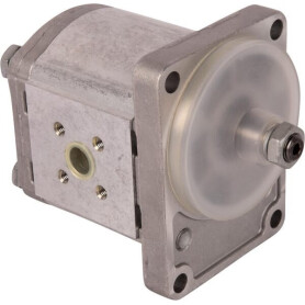 Pompe GOLDONI 02030425