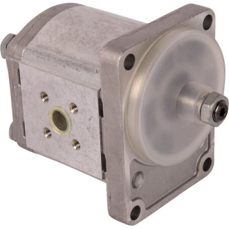 Pompe GOLDONI 02030425