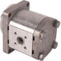 Pompe GOLDONI 02030425