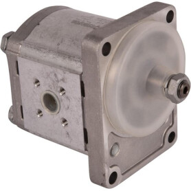 Pompe GOLDONI 02030345