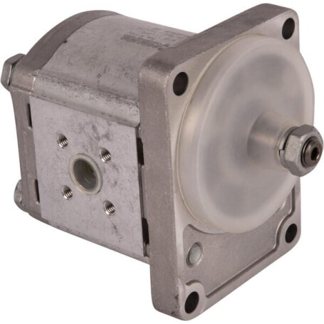 Pompe GOLDONI 02030345