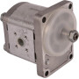 Pompe GOLDONI 02030345