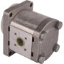 Pompe GOLDONI 02030345