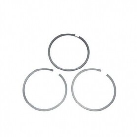 Segment Briggs et Stratton 590402