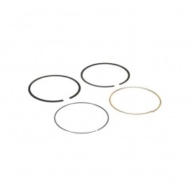 Segments BRIGGS ET STRATTON 594437