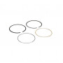 Segments BRIGGS ET STRATTON 594437