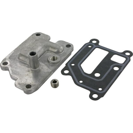 Purgeur KOHLER 2403301S