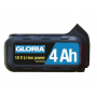 Batterie de rechange pour brosses électriques GLORIA XGL7289700000