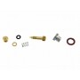 Kit vis de richesse BRIGGS ET STRATTON 299060