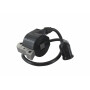 Bobine d'allumage DOLMAR 030143040 - 114143500 - 112143000