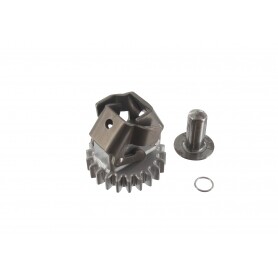 Pignon denté de régulateur BRIGGS ET STRATTON 793338