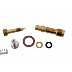 Kit vis de richesse BRIGGS ET STRATTON 396795 - 391233