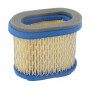 Filtre à air BRIGGS ET STRATTON 697029