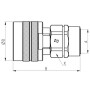 Raccord rapide FASTER CVV166302MV