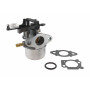 Carburateur BRIGGS ET STRATTON 796608