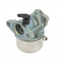 Carburateur BRIGGS ET STRATTON 799868