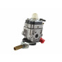 Carburateur GGP - CASTELGARDEN 123054009/1