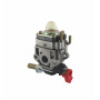 Carburateur GGP - CASTELGARDEN 123054011/0